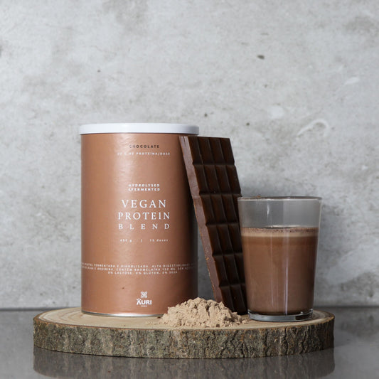 Fermented and Hydrolyzed Vegetable Protein Chocolate